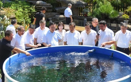 住浙全国政协委员赴衢州丽水考察 廉毅敏带队