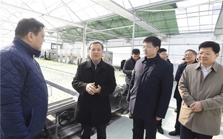 廉毅敏在宁波调研：激发文化活力 厚植生态优势 更好赋能经济社会高质量发展