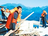 拉网式巡查 常态化监督
