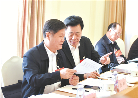 议政建言