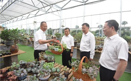 廉毅敏在温州调研：增强高质量发展新动能 绘就山区县共同富裕新图景