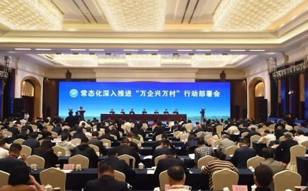 常态化深入推进“万企兴万村”行动部署会在义乌召开 高云龙讲话 廉毅敏致辞