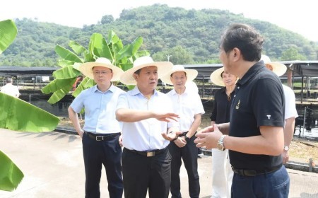 廉毅敏在衢州调研：深化新时代“千万工程”推动“土特产富”全链发展