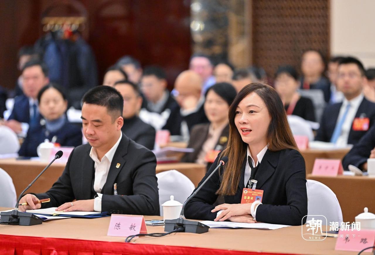 政协委员联组讨论政府工作报告